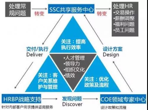 新澳2025年正版资料|实用释义解释落实